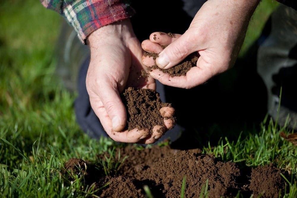 SOIL