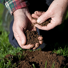 Soil