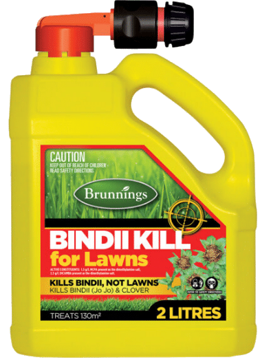 Bindii Kill