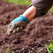 Quality fertilizers and soil nutrients for healthy gardens