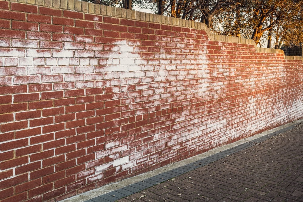 Remove Efflorescence