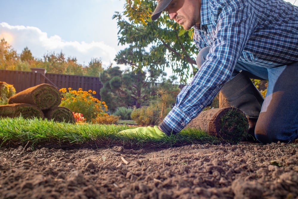 Level and firm the soil