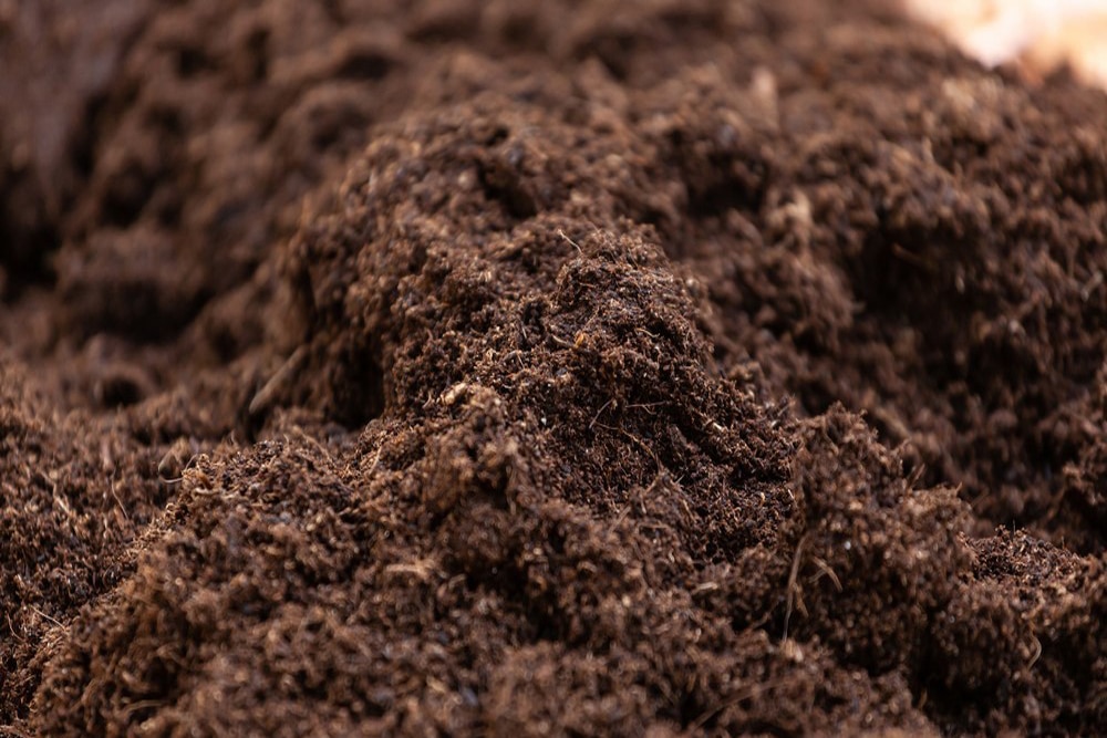 Garden Soil