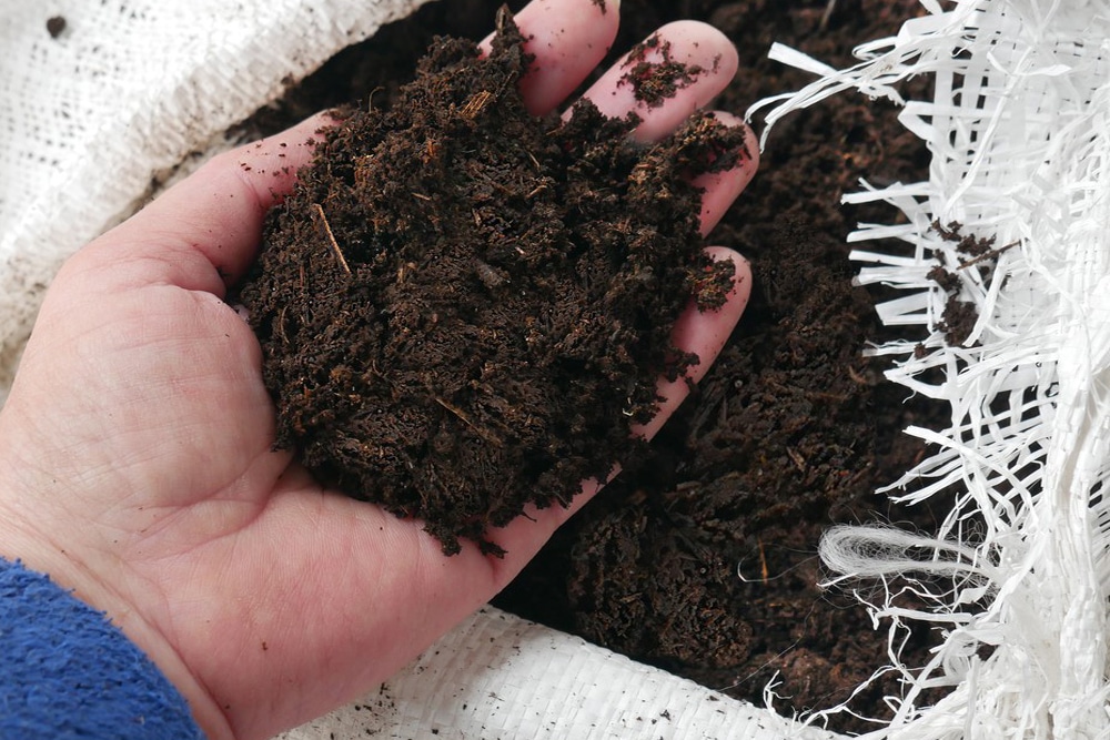 Potting Mix