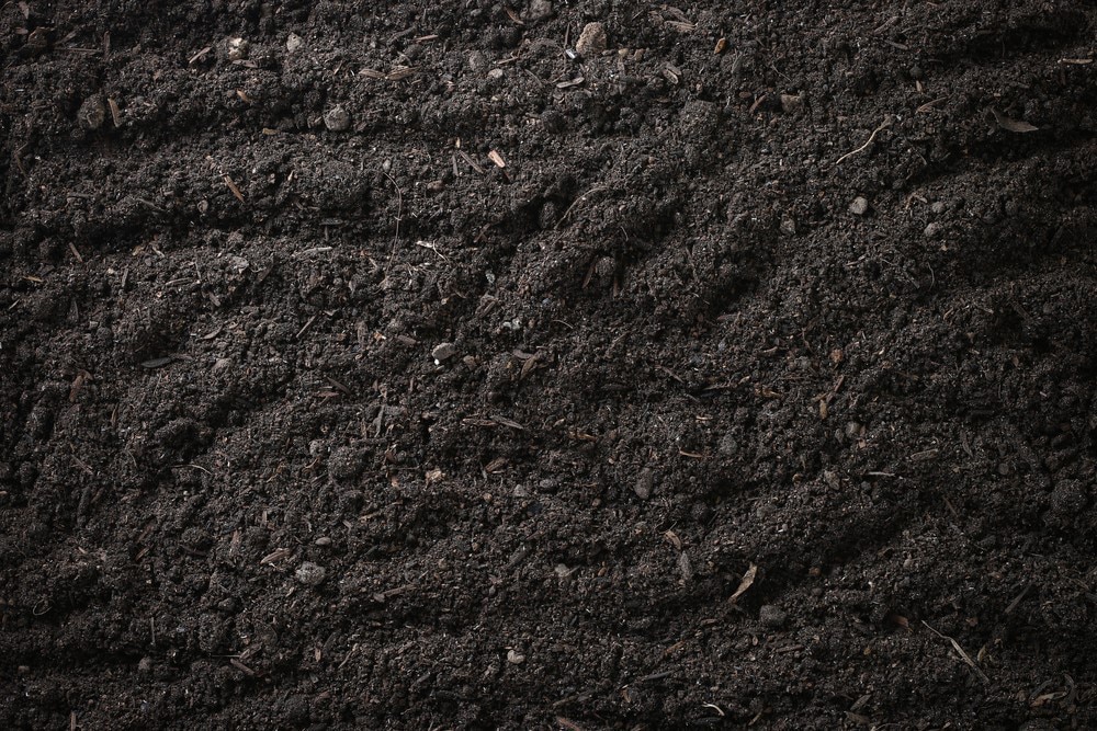 Top Soil