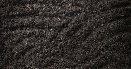 Top soil blend for new lawns and garden beds