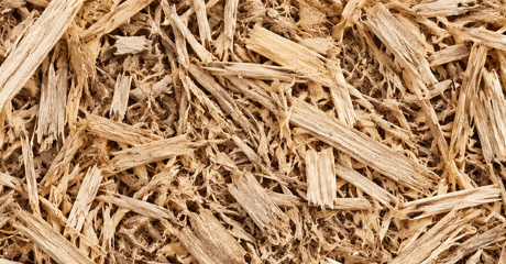 Sugar cane mulch for moisture retention and weed control