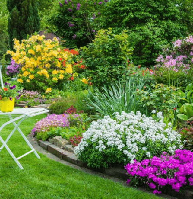How to maintain your garden like a pro