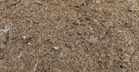 Chook poo (poultry manure) for improving soil fertility