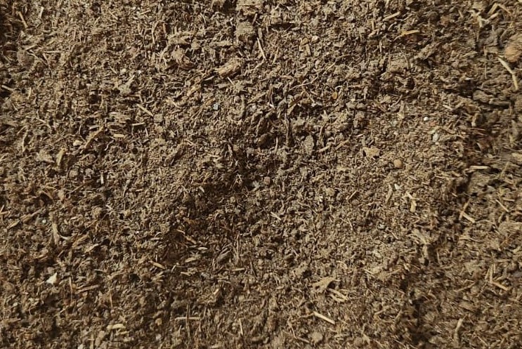 Cow Manure