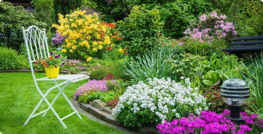 Planting Tips